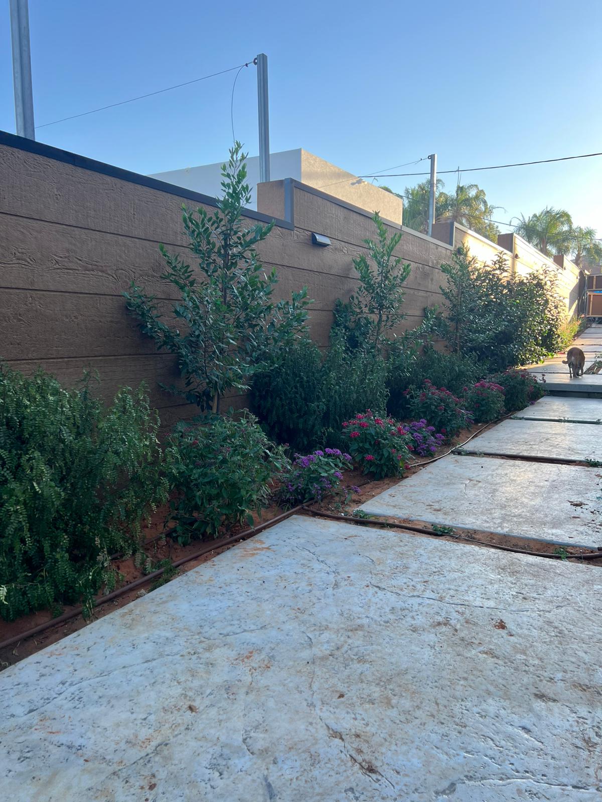 חיפוי וודרטקס, נתניה